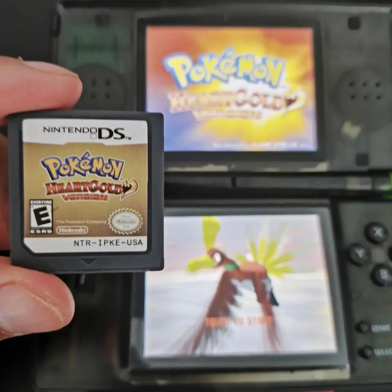 Jogo Pokemon HeartGold para Nintendo DS 3DS Jogos de Video Game Residencial Estrela Park Campo Grande 1327005186 OLX