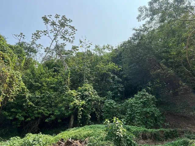 Ótima Oferta: Terreno Amplo Próximo à Natureza 6532 m2