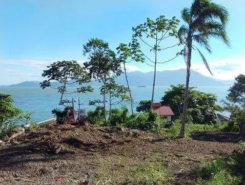 Lote/Terreno em Tapera - Foto 2