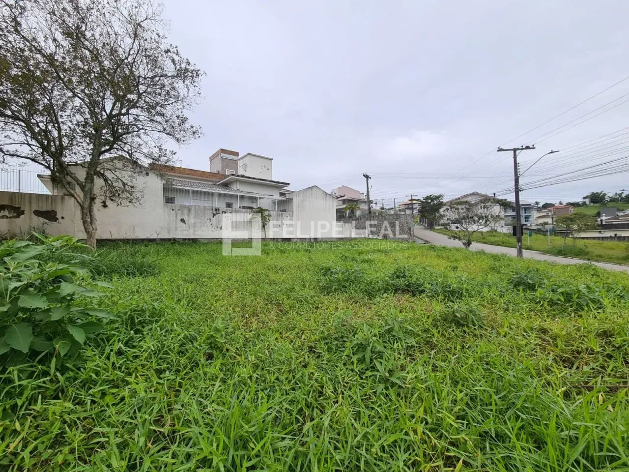 Lote / Terreno em Pedra Branca - Palhoça - Foto 10