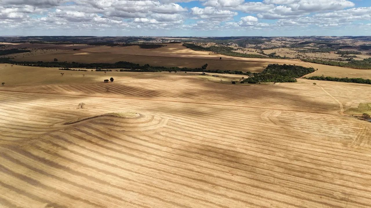 Fazenda de 250  Alqueries    - Foto 4