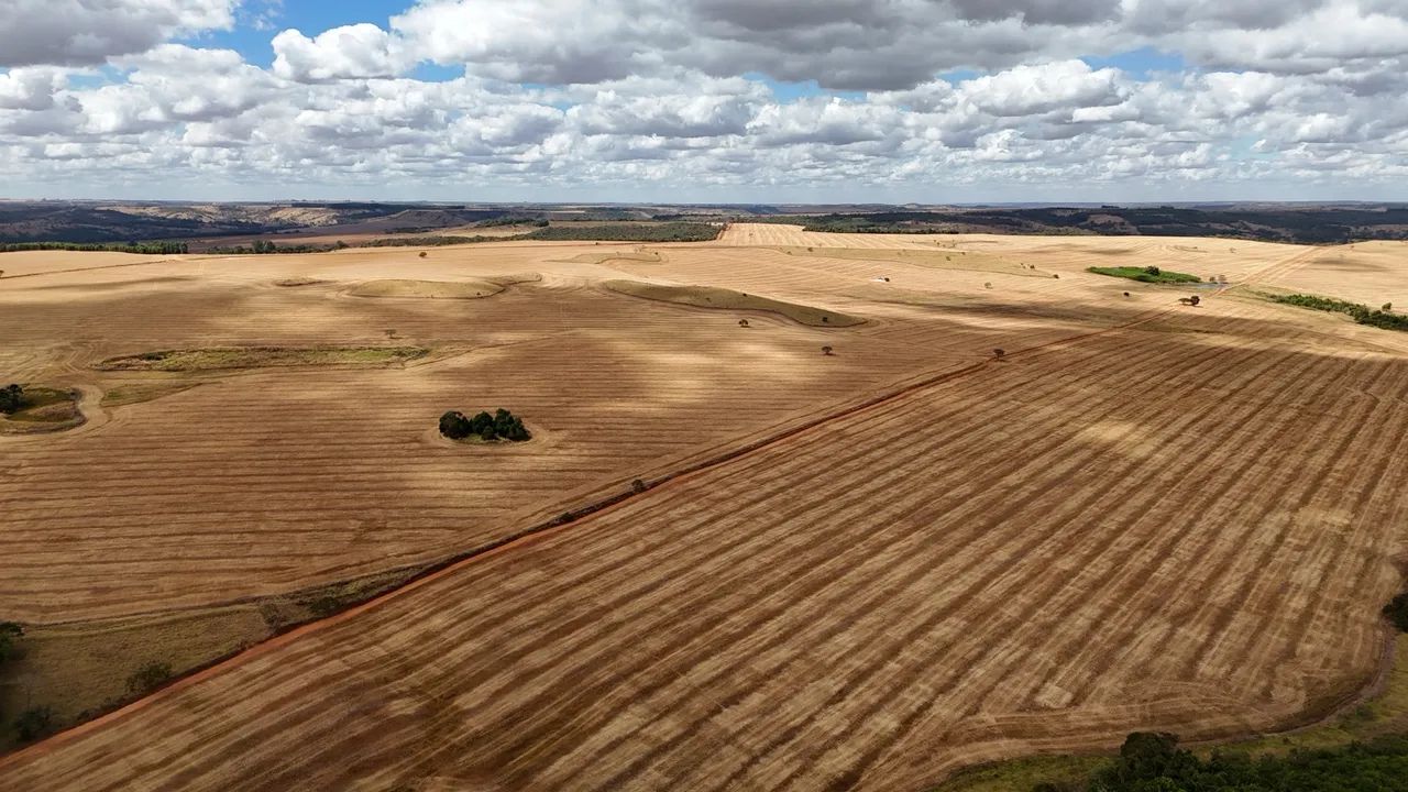 Fazenda de 250  Alqueries   