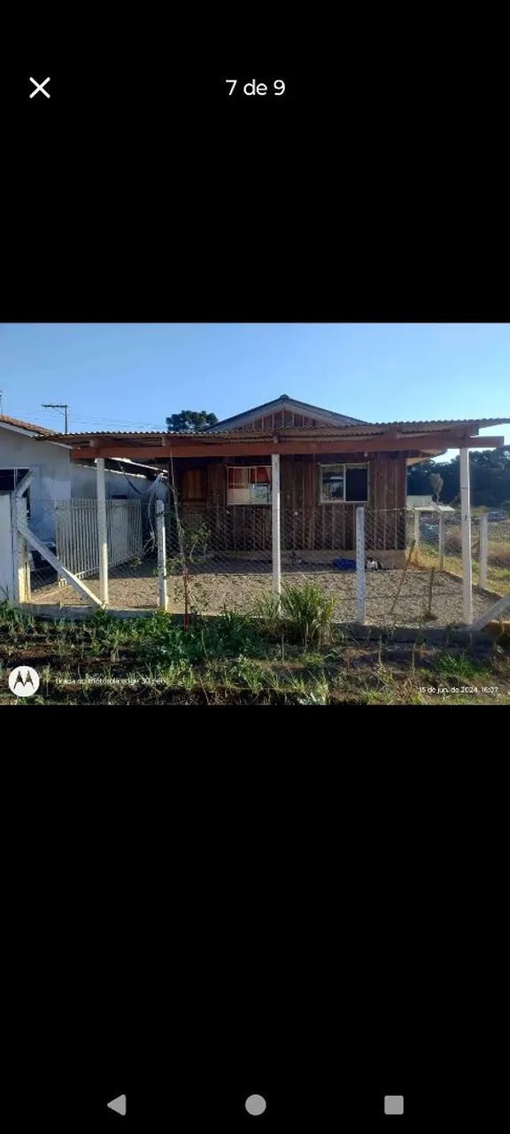 Foto - São José dos Pinhais - Jurema