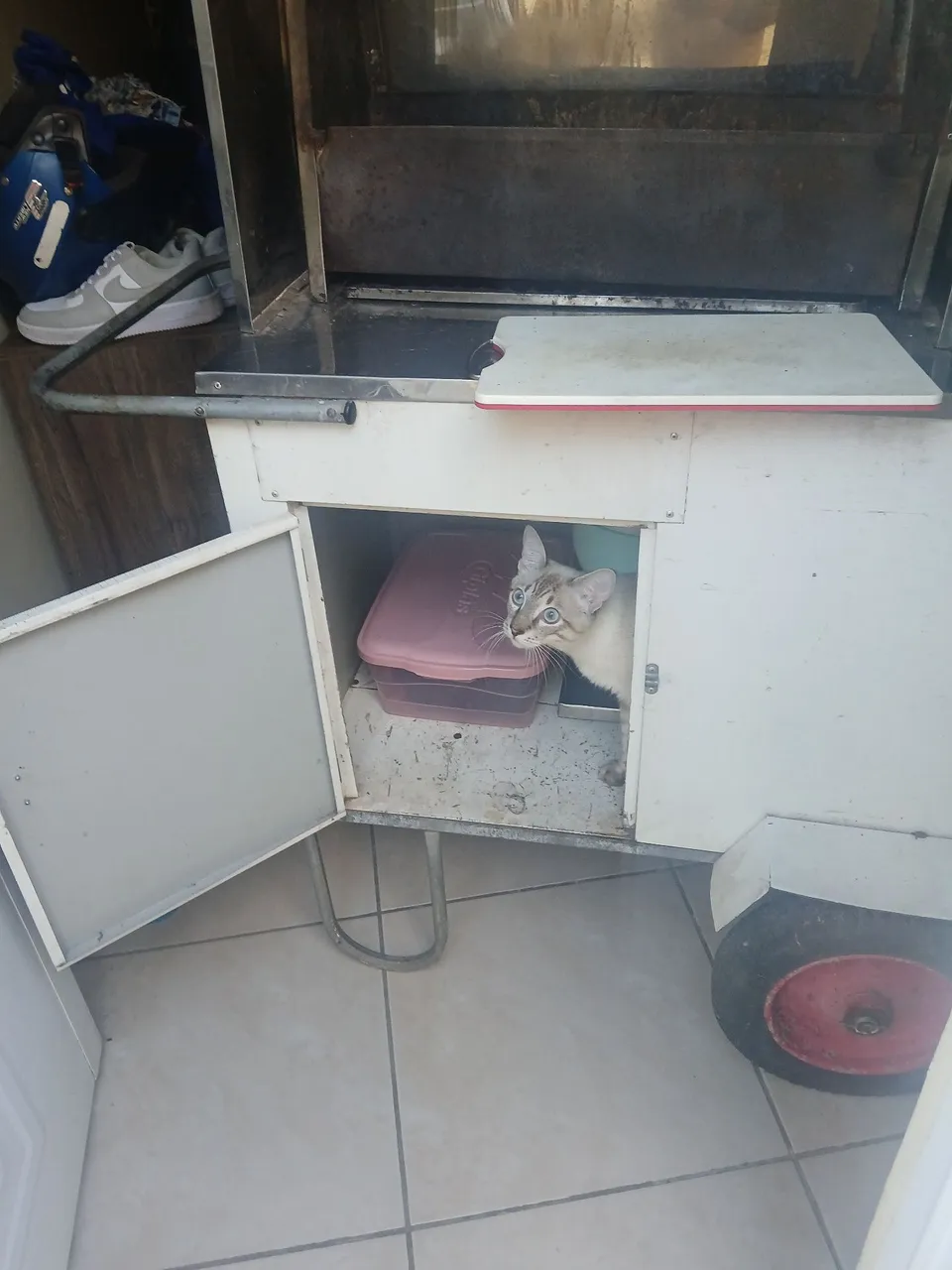 Carrinho de espetinho/lanche com compartimentos.