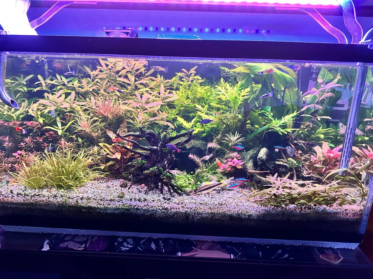 Luminária aquário Oceantech nour plus freshwater 80cm 9200lm - Foto 2