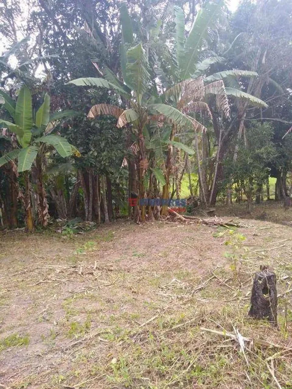 Terreno à venda, 1700 m² por R$ 215.000,00 - Itaquaciara - Itapecerica da Serra/SP - Foto 4