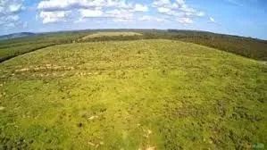 Fazenda Piaba 