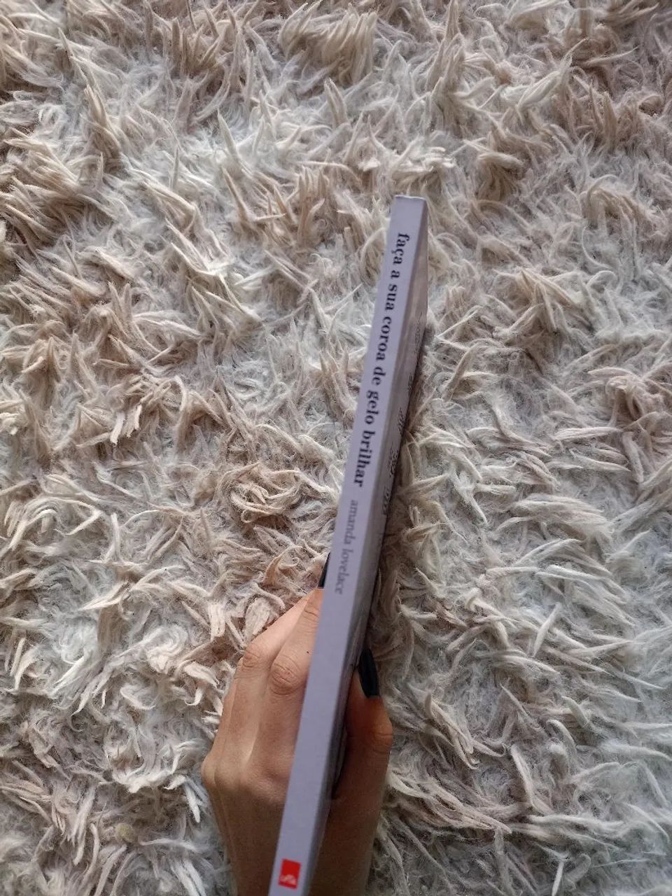 LIVRO: faça a sua coroa de gelo brilhar - Foto 2