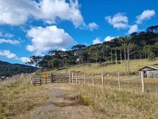 Terreno rural com 128 hectares em São Joaquim-SC - Foto 2