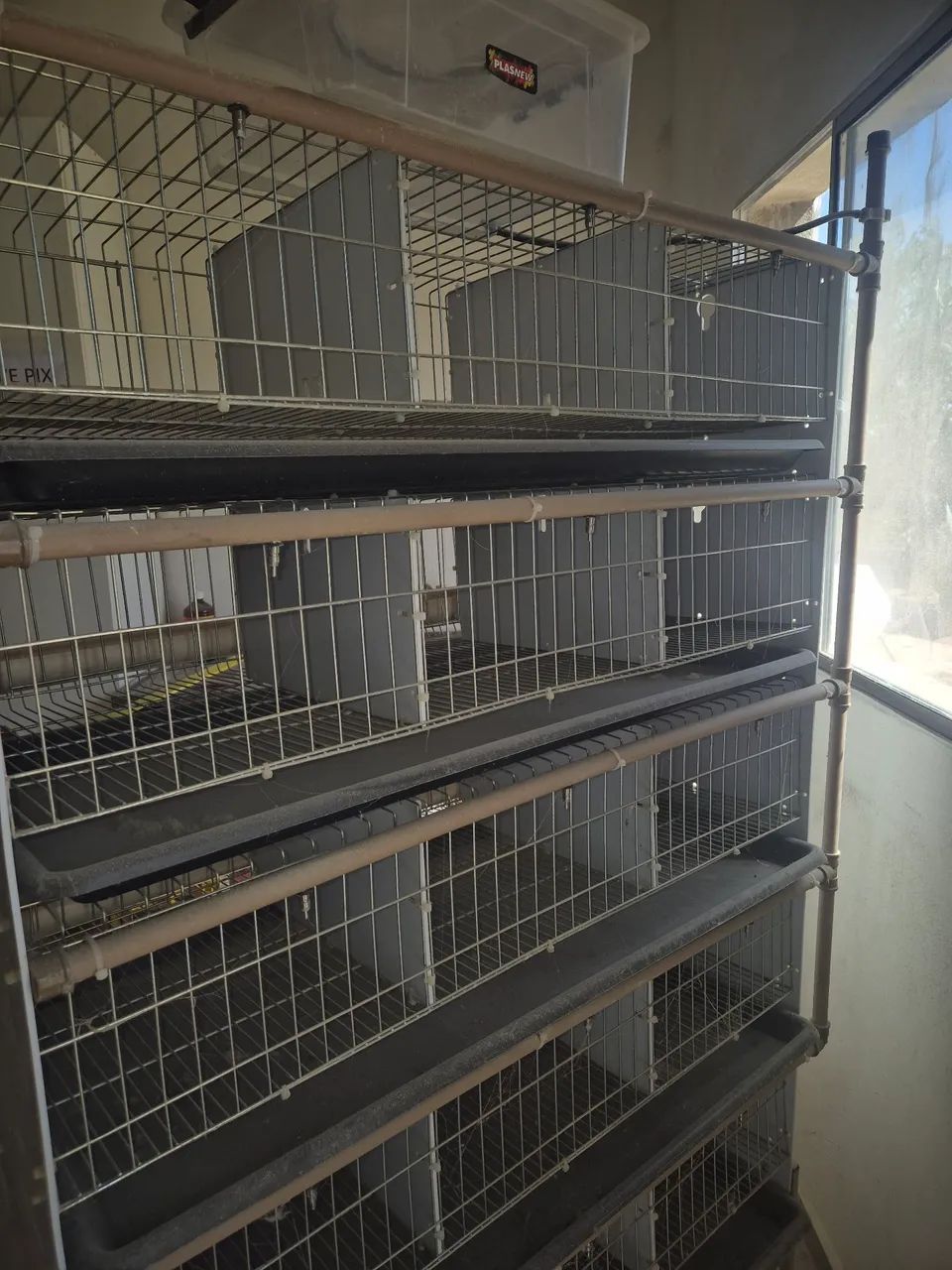 Bateria de Gaiolas para Codornas