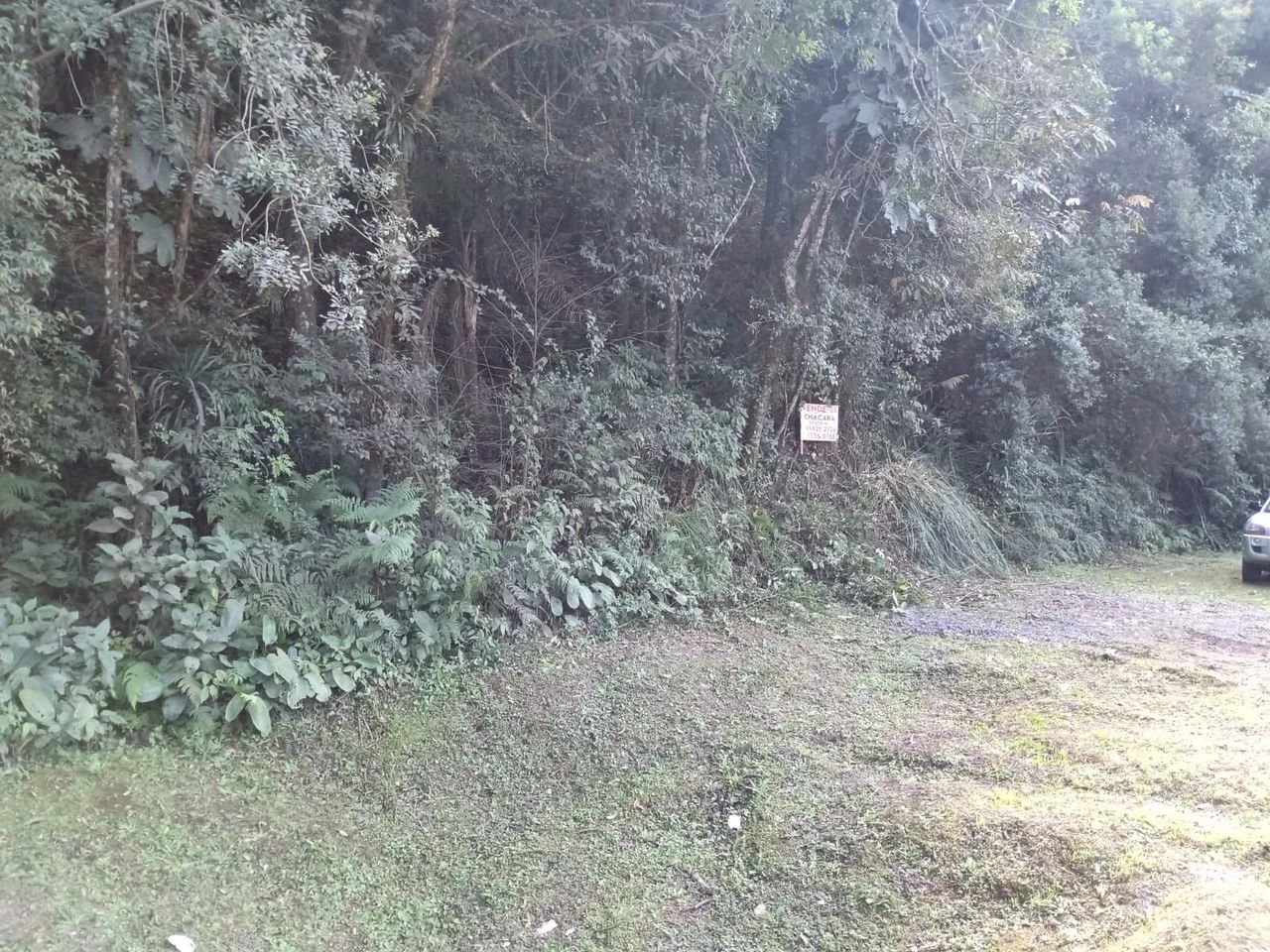Chácara em Campo Largo - 20.000 m²