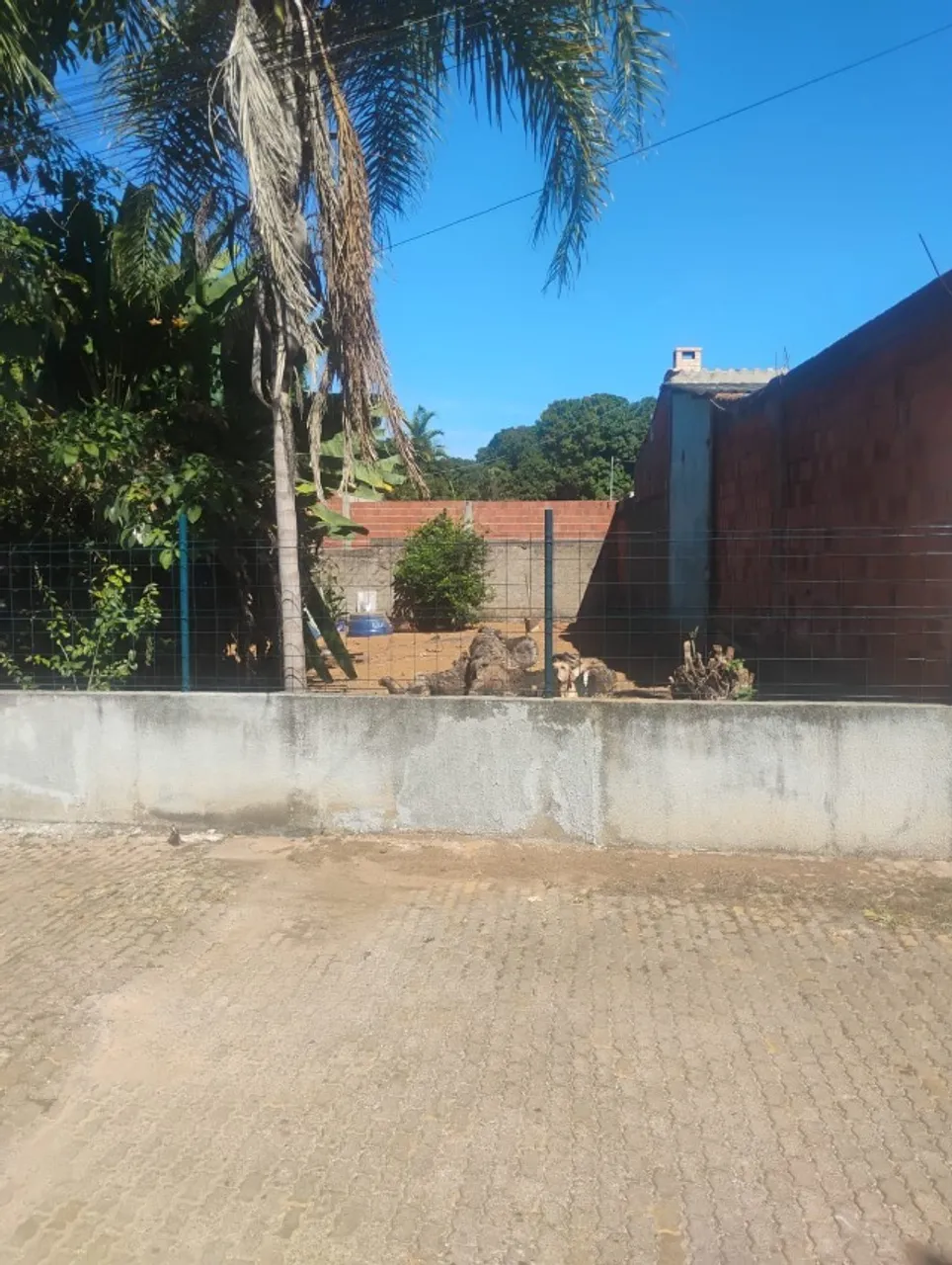 Vendo Lote 200m², Condominio Fechado, Setor Tradicional, BrazlÂndia/DF