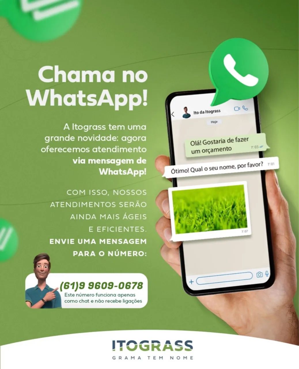 Grama Esmeralda - PROMOÇÃO. - Foto 6