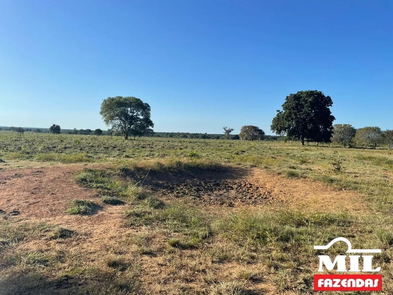 Fazenda em Talismã-TO. . 55 Alq. (266 Há). Boa p/ Soja