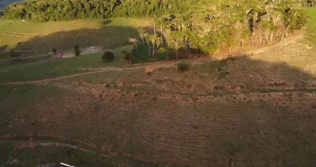 Lindíssima e Excelente Fazenda em Maragogi na Região Norte de Alagoas. - Foto 5