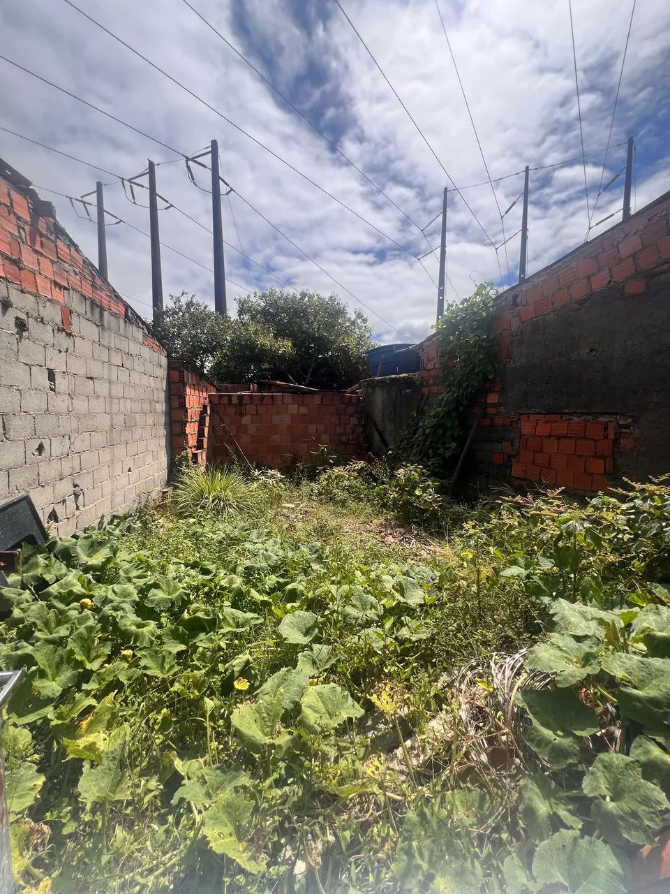 Terreno à venda no Clima bom - Foto 4