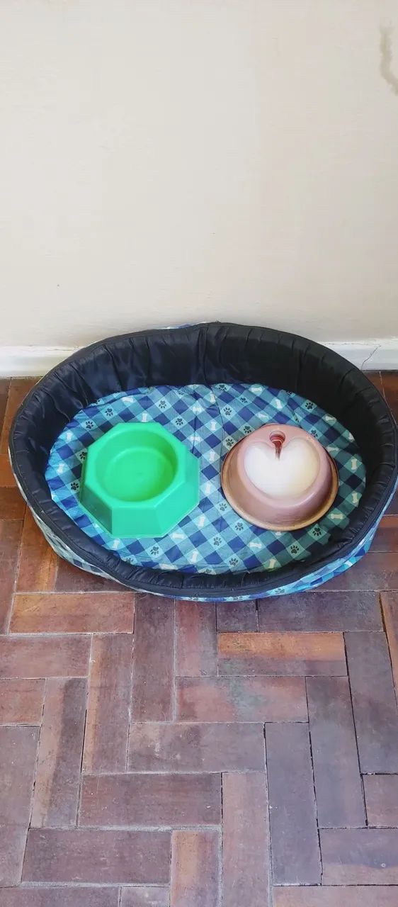 Kit, cama, cambucas, máquina de tosar e máquina de tosar para para cão  - Foto 4