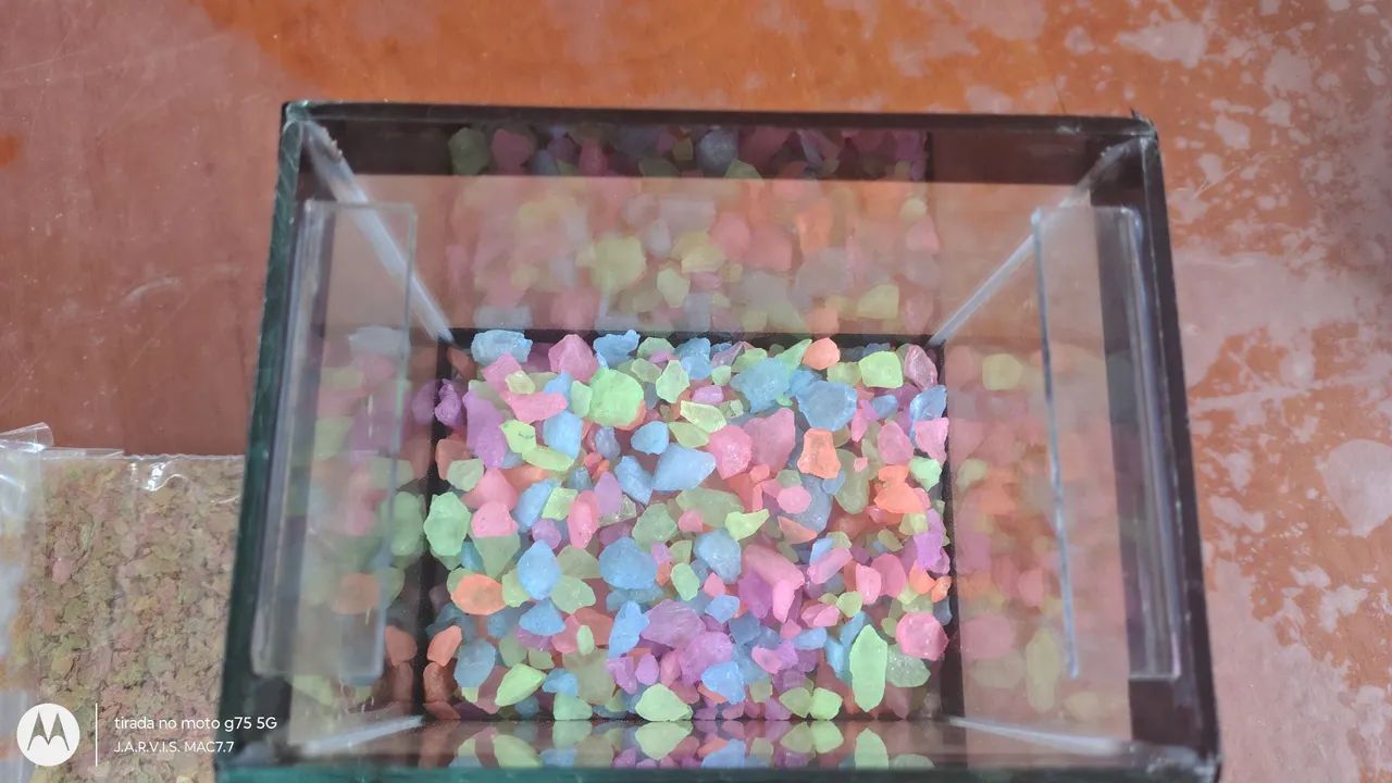 Aquário completo com pedras coloridas  - Foto 2