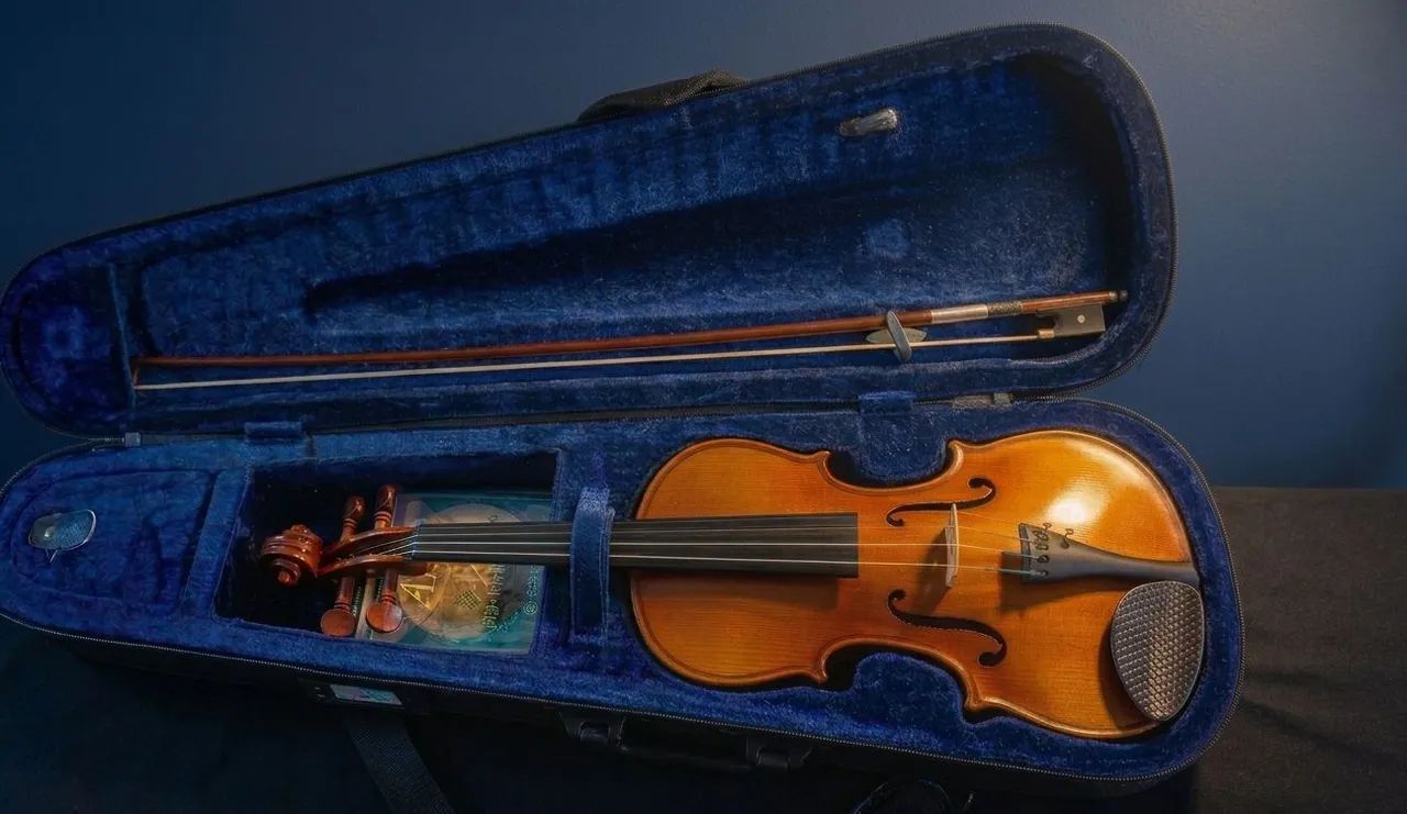 Violino Eagle Vk-144