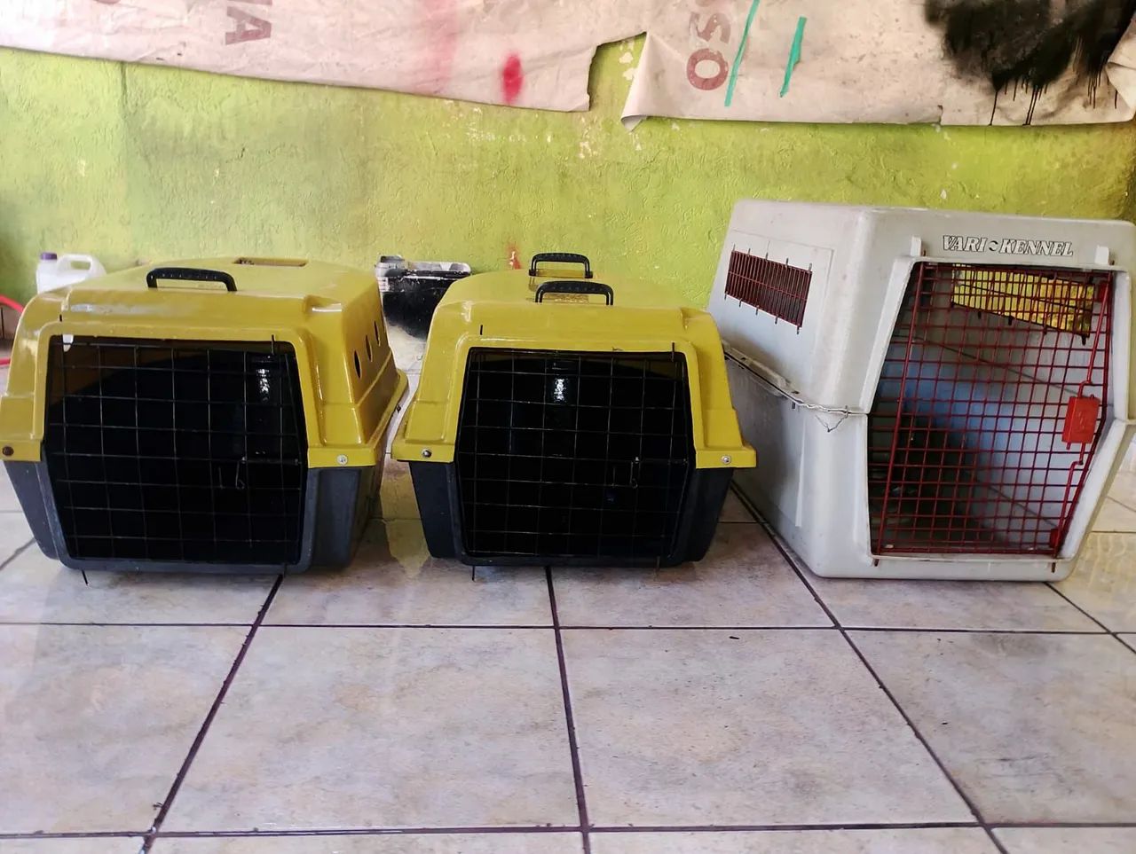 Caixa transporte cães 
