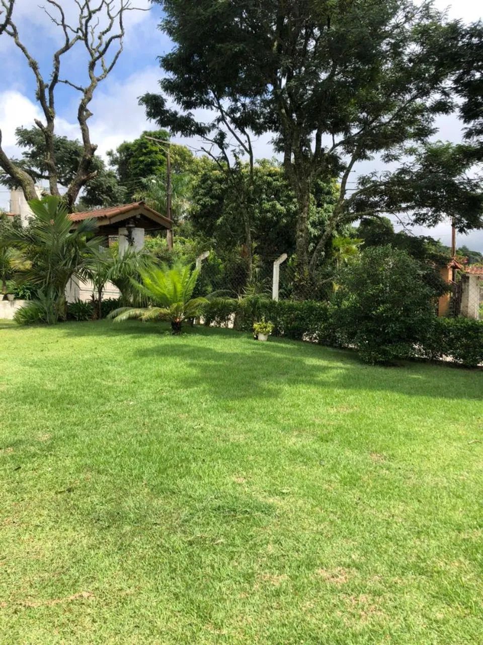 Vendo Chacrinha  - Foto 4