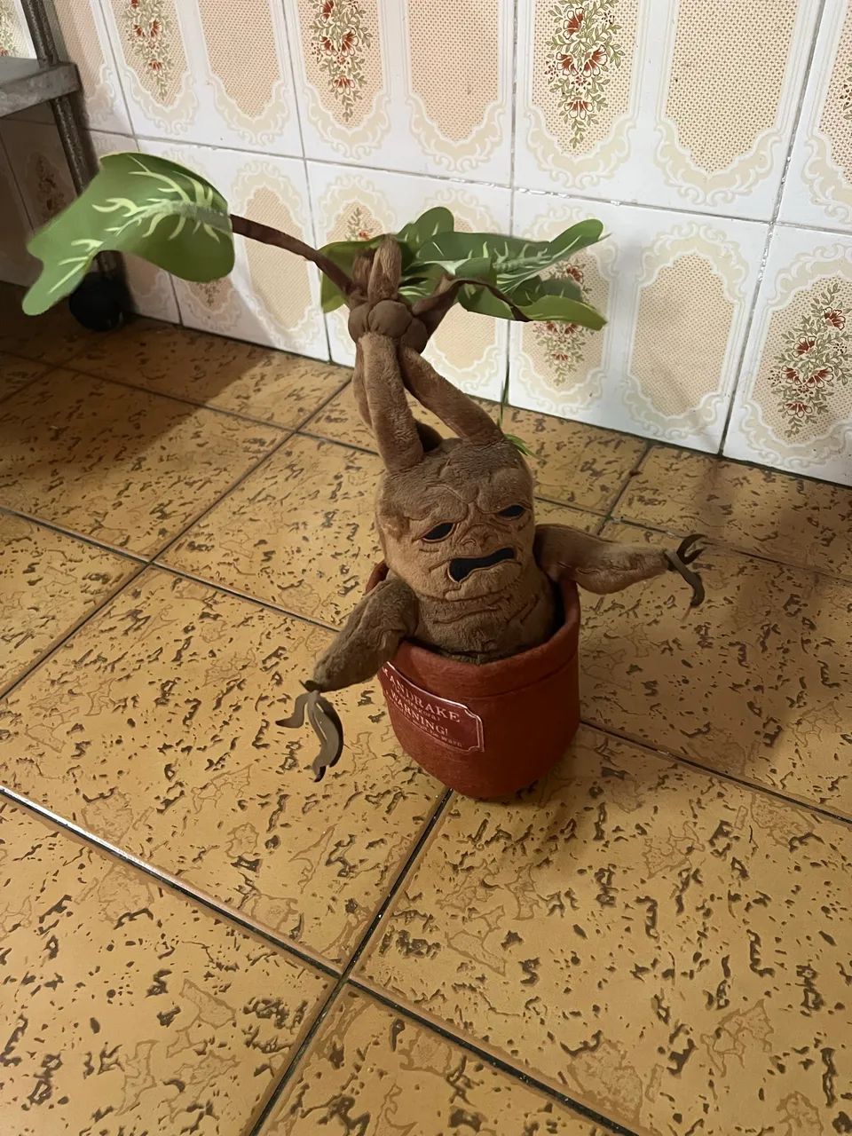 Vendo mandrake original  - Foto 4