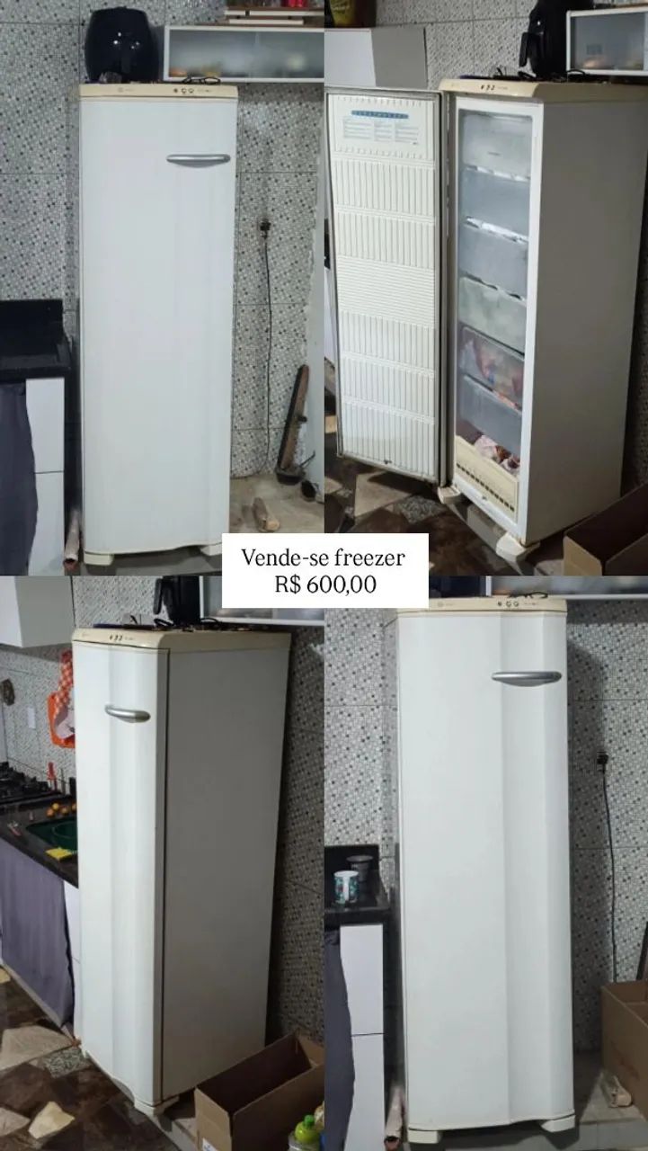 Freezer Frost Free 