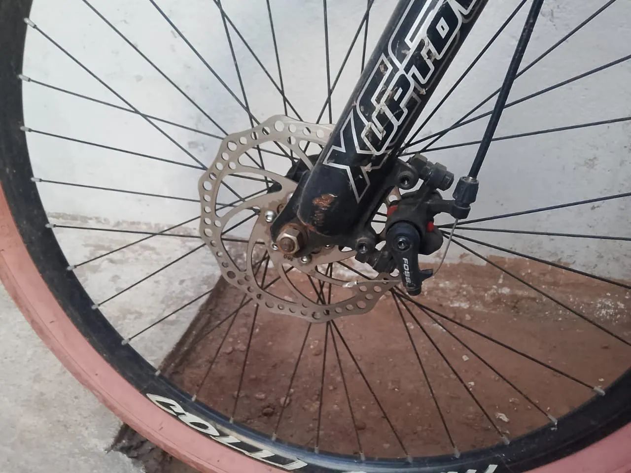 Bike Colli  - Foto 2