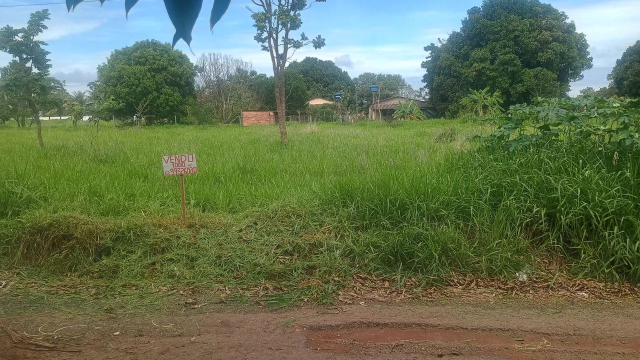 Lote 1000 mts quadrados - Foto 2
