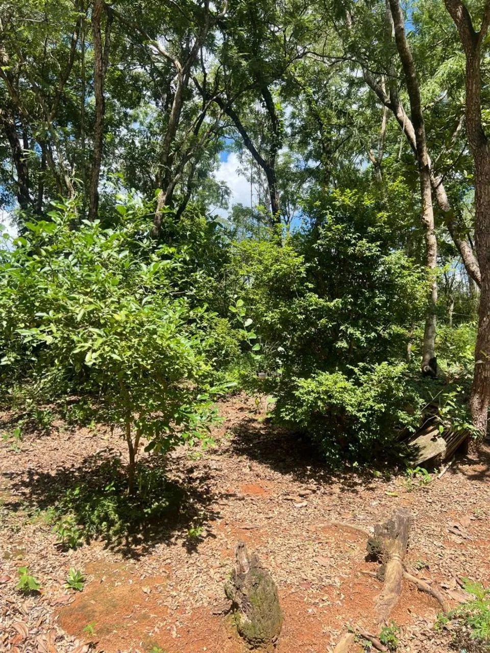 Chácara top em Divinópolis barato - Foto 3