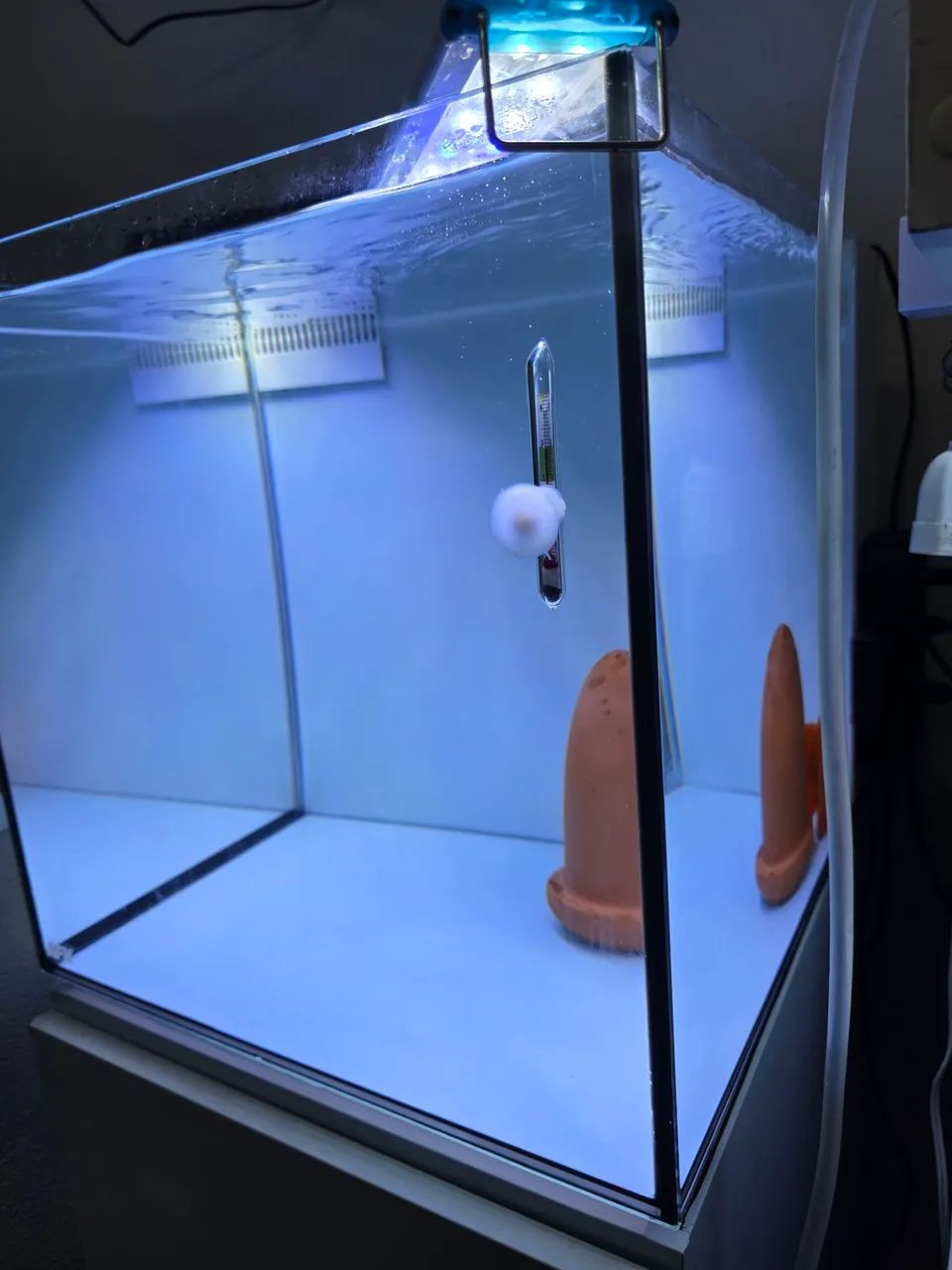 Aquario afx + movel Artero - Foto 4