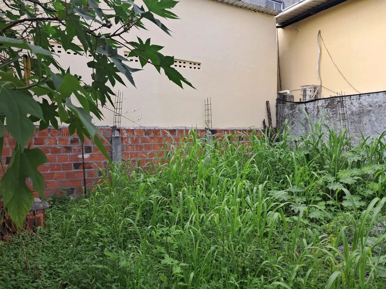 Terreno 100m2 todo murado  - Foto 4