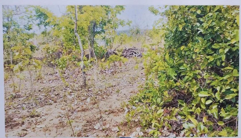 TERRENO - Caldas Novas - Foto 4