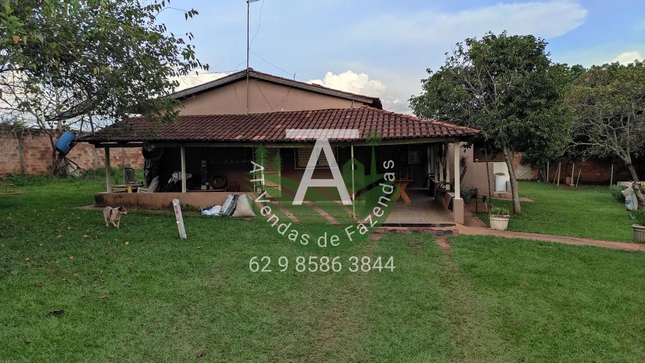 Haras em Goiânia  - Foto 3