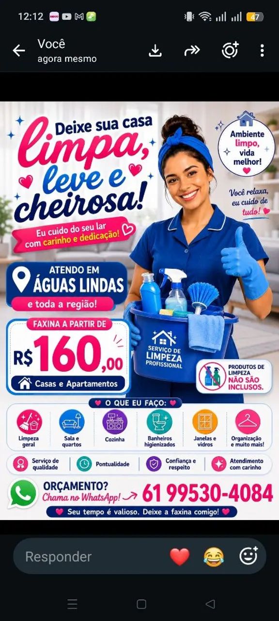 Faxinas e diárias