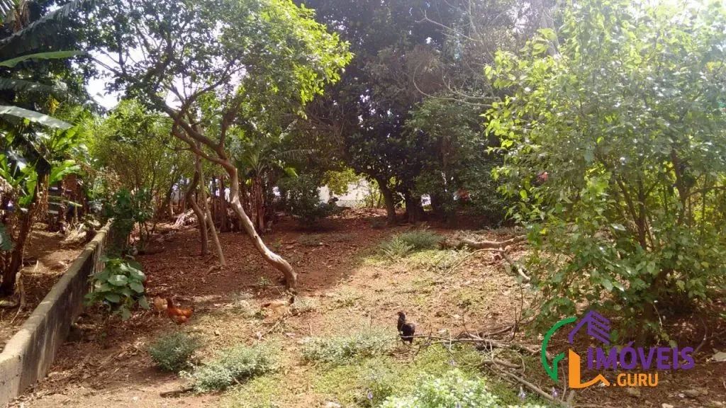 TERRENO - MORUMBI - SP - Foto 4