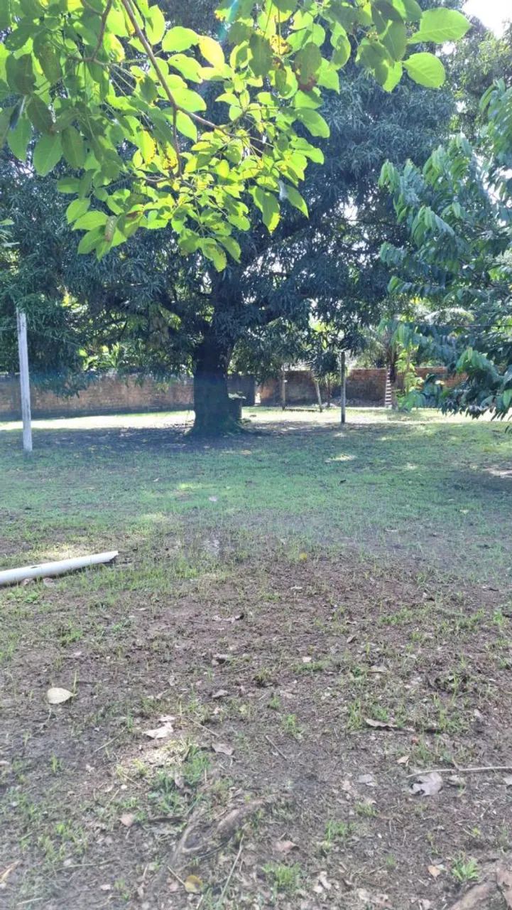 Terreno em benevides  - Foto 3