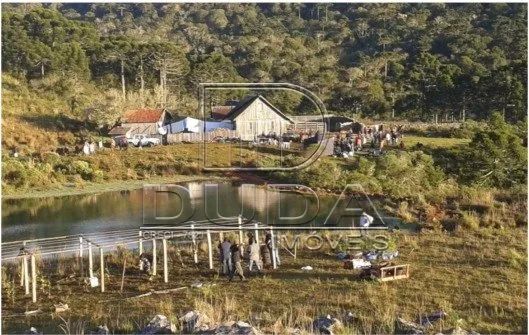 FAZENDA A VENDA - Foto 4