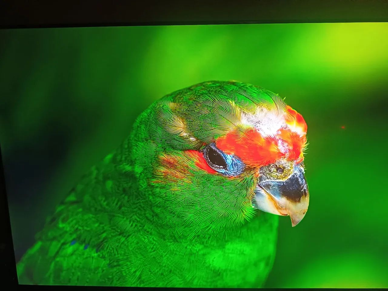 Tv LG 65 polegadas Smart 4k  - Foto 2