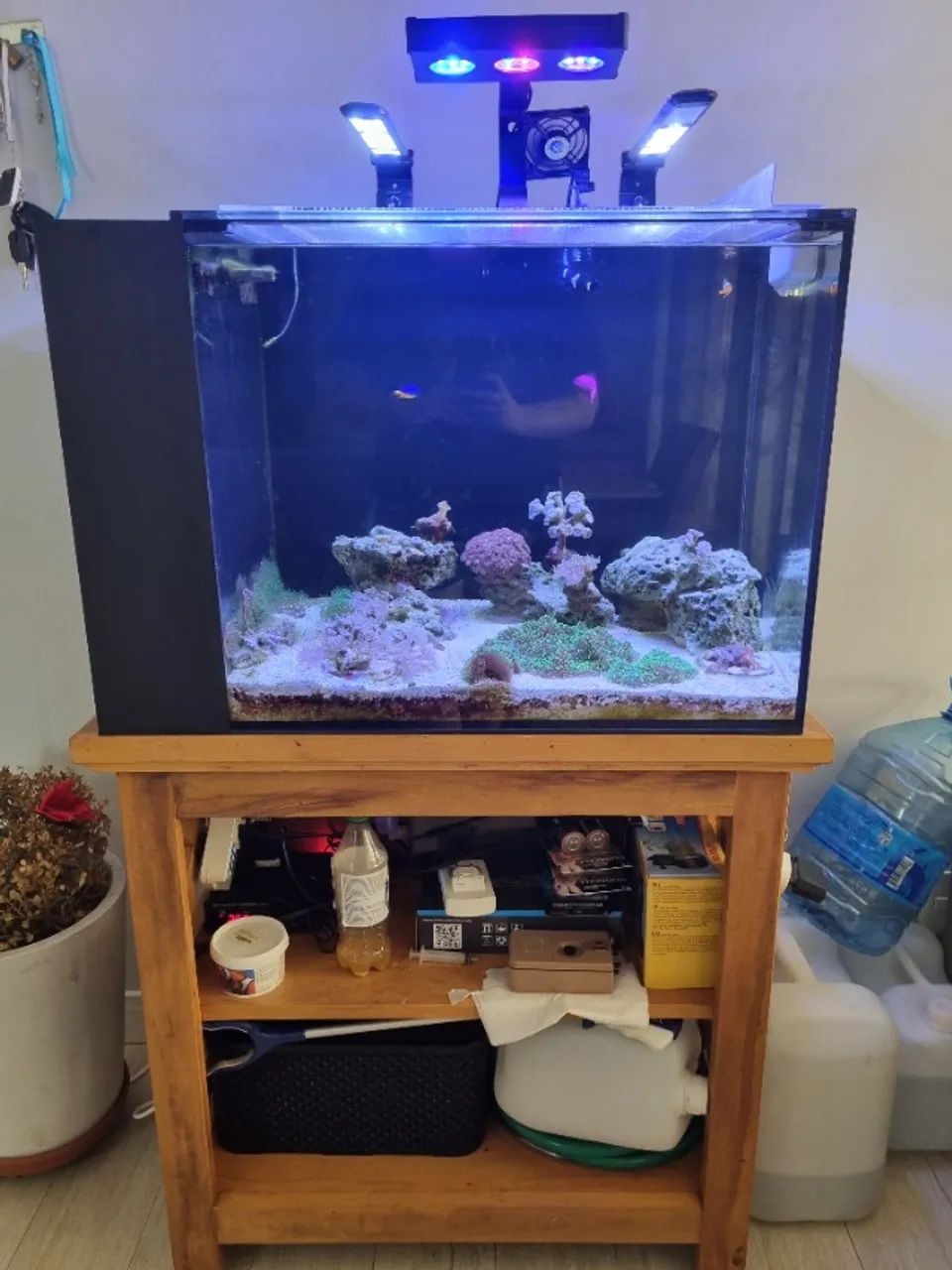 Aquario Marinho completo - Foto 2