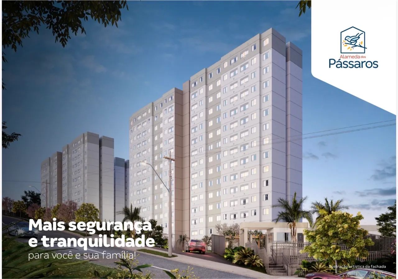 Foto - Recife - Passarinho