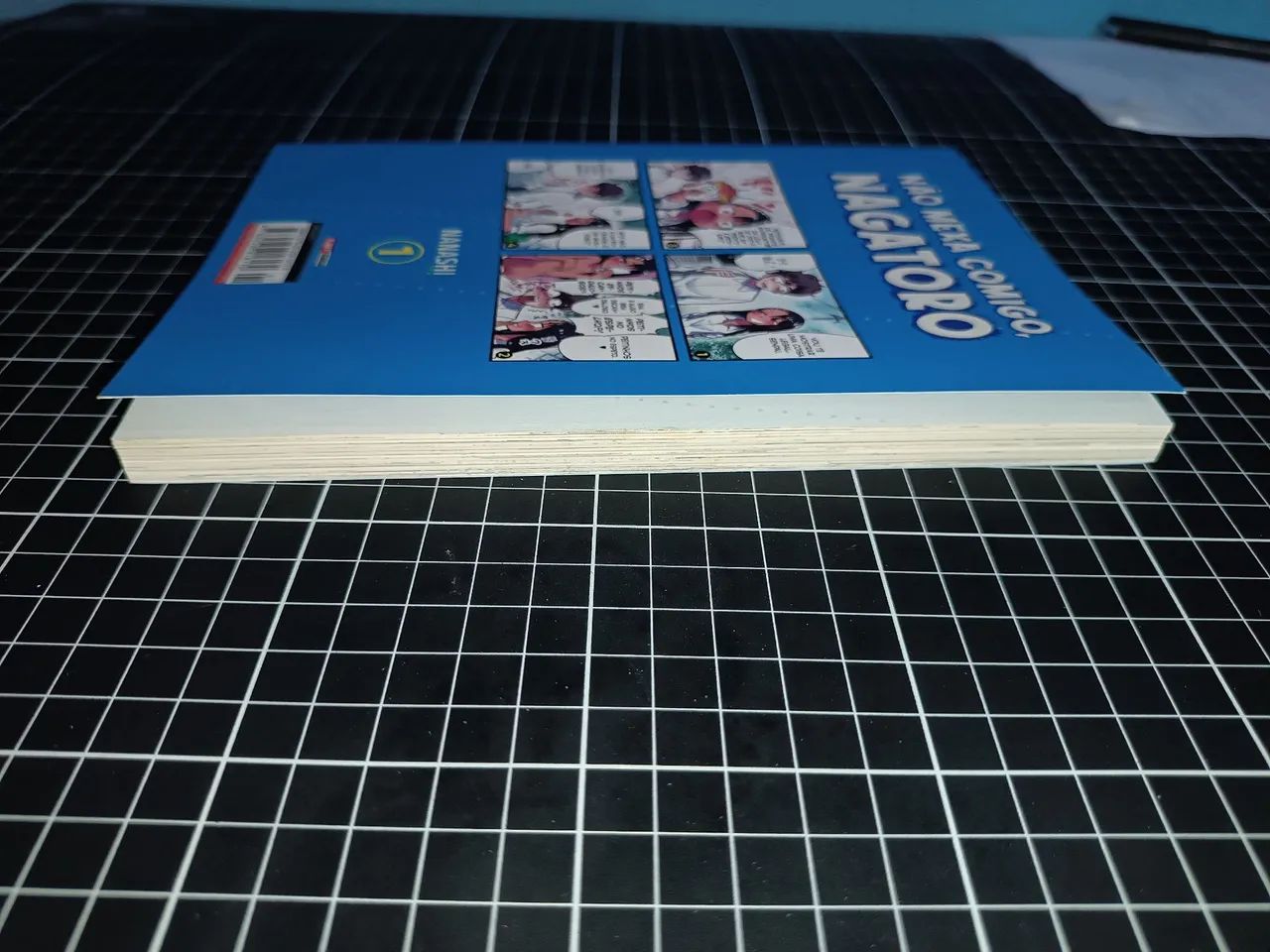 Mangás do versos - Foto 5