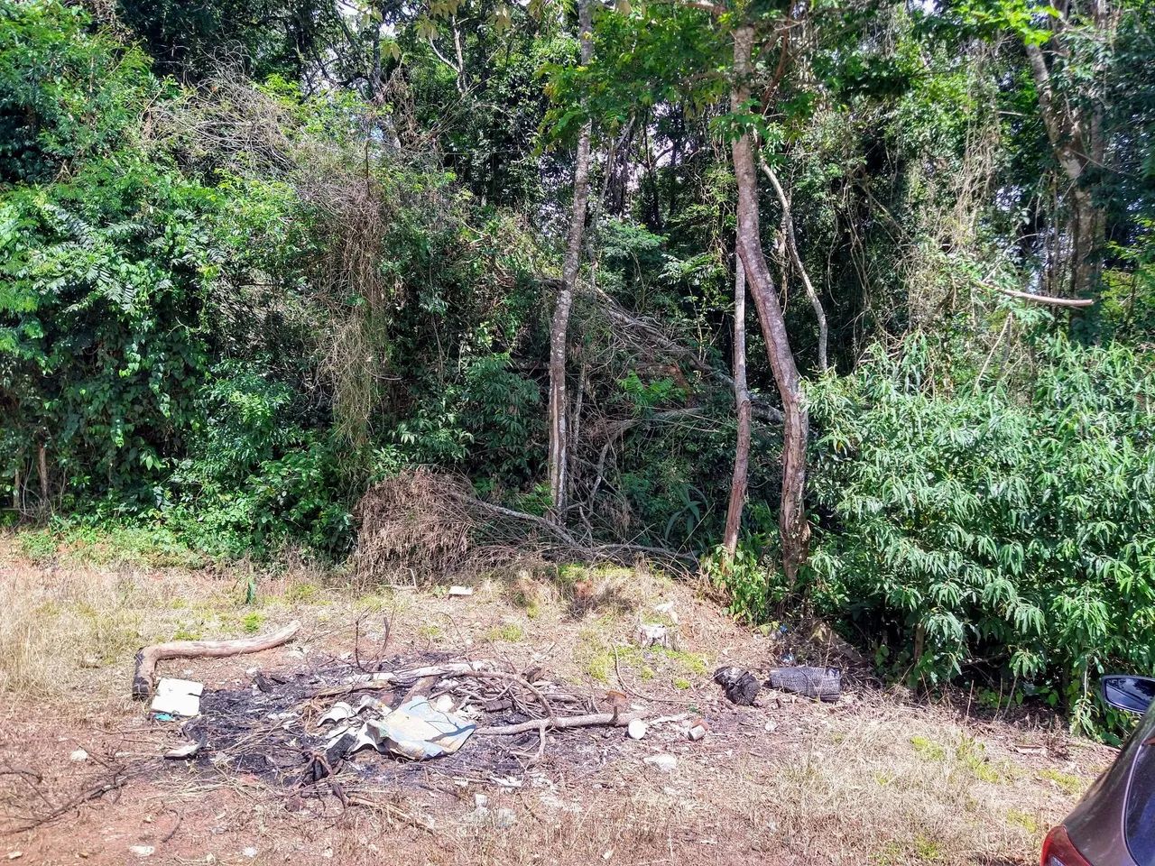 Foto - Ibiúna - 