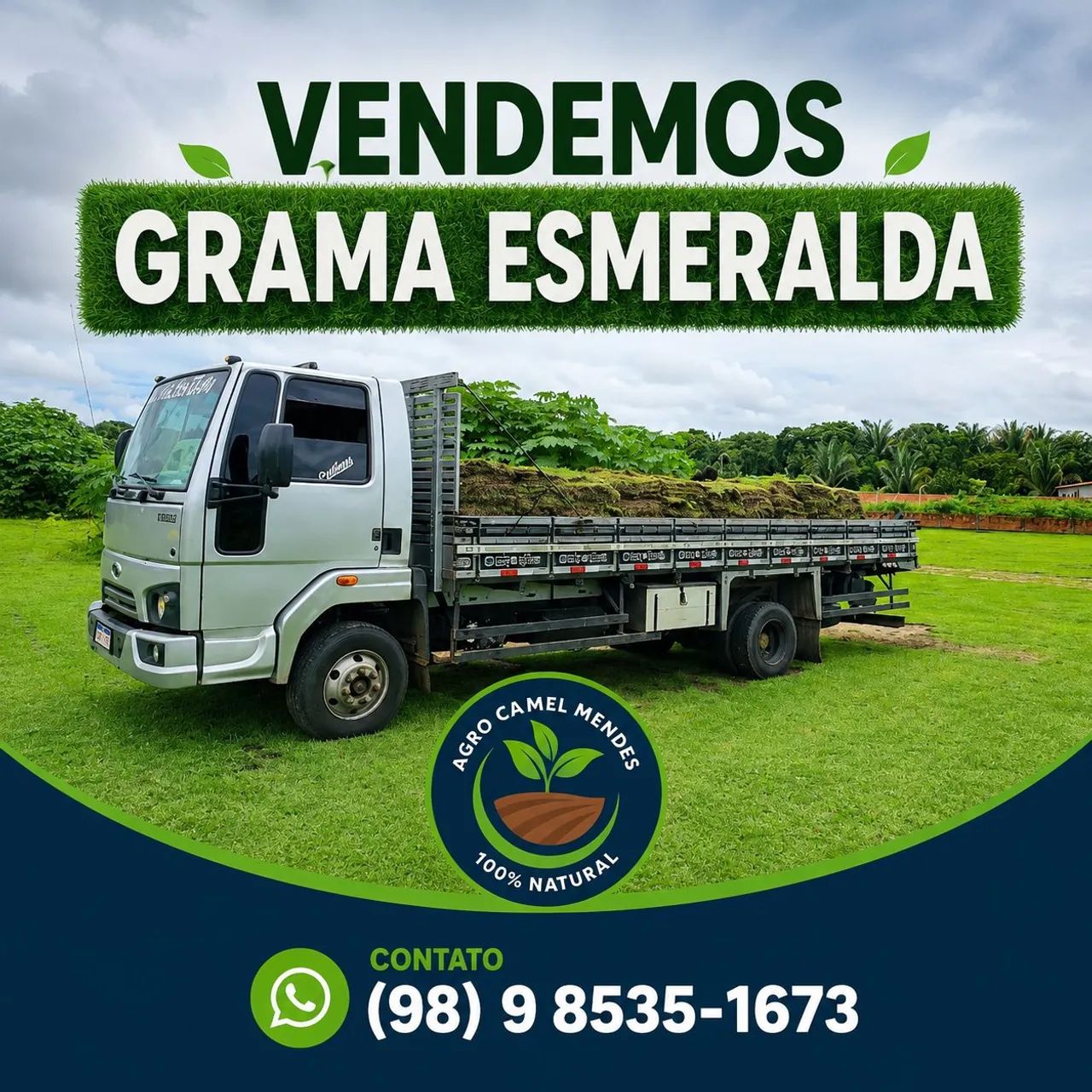 GRAMA ESMERALDA SAO LUIS / SÃO JOSÉ DE RIBAMAR - MA