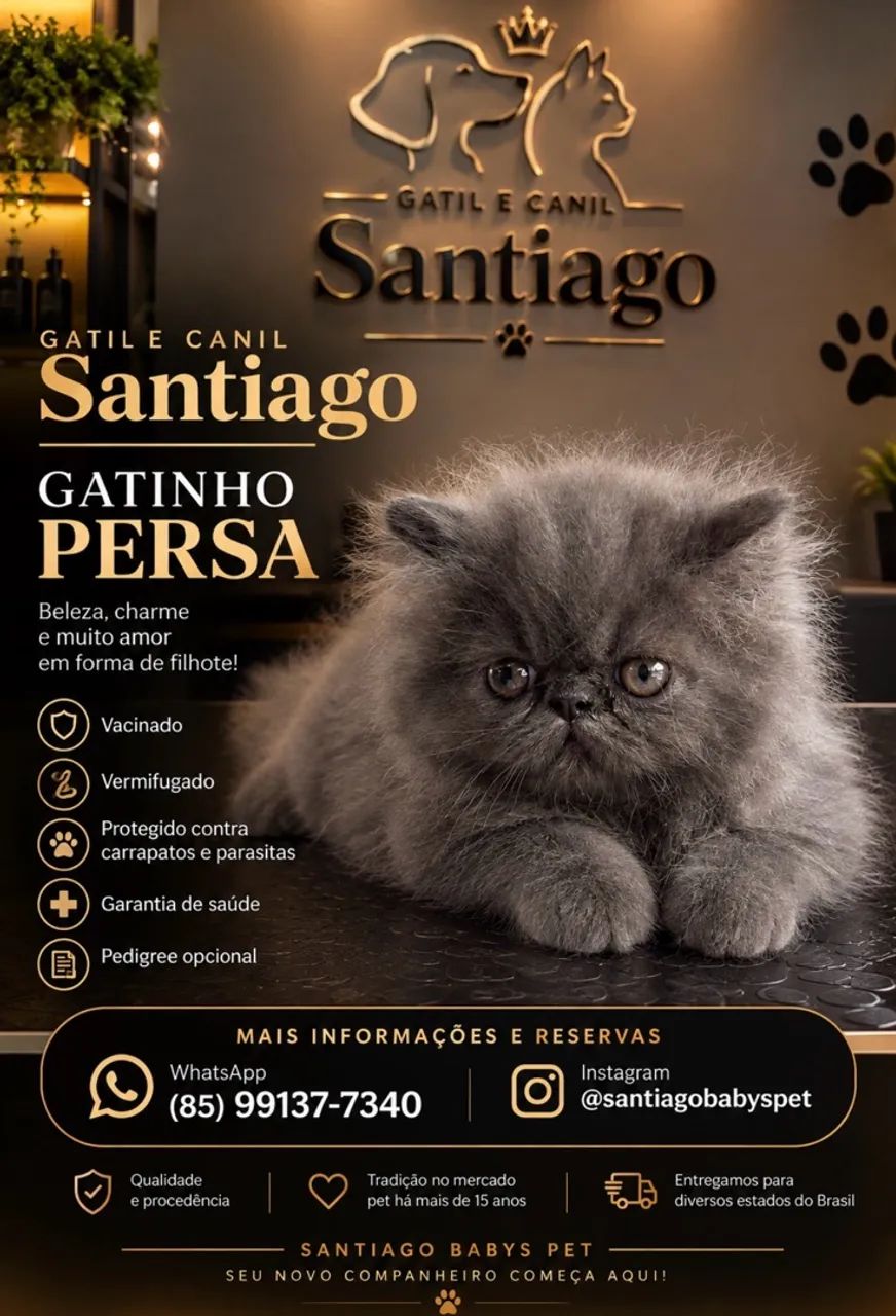 Persa - Foto 2