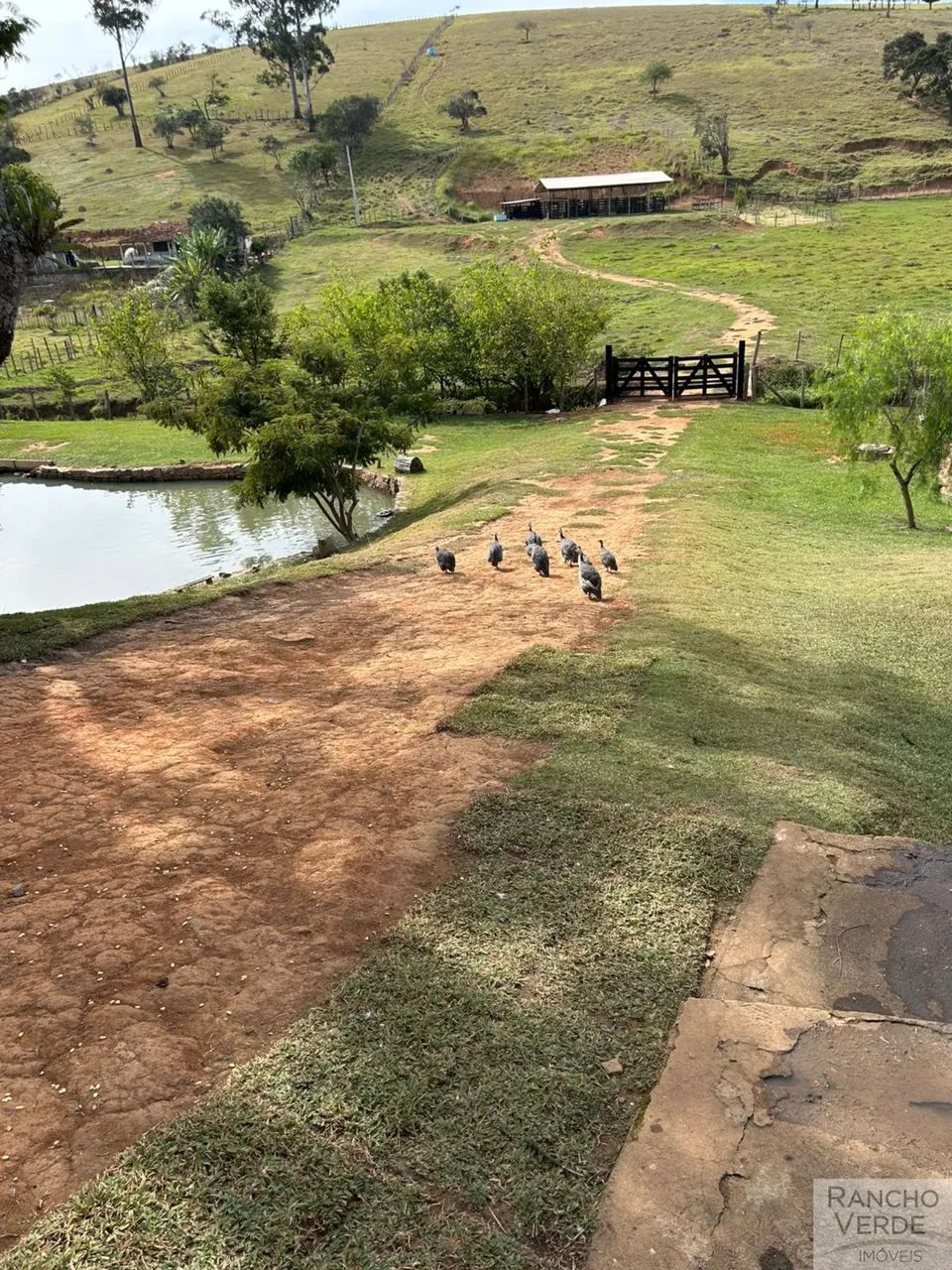 SÍTIO RURAL em PARAISÓPOLIS - MG, RURAL - Foto 4