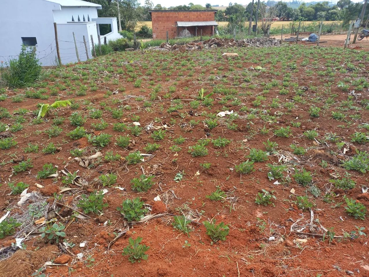 Vendo/Troco por veículo.  - Foto 2