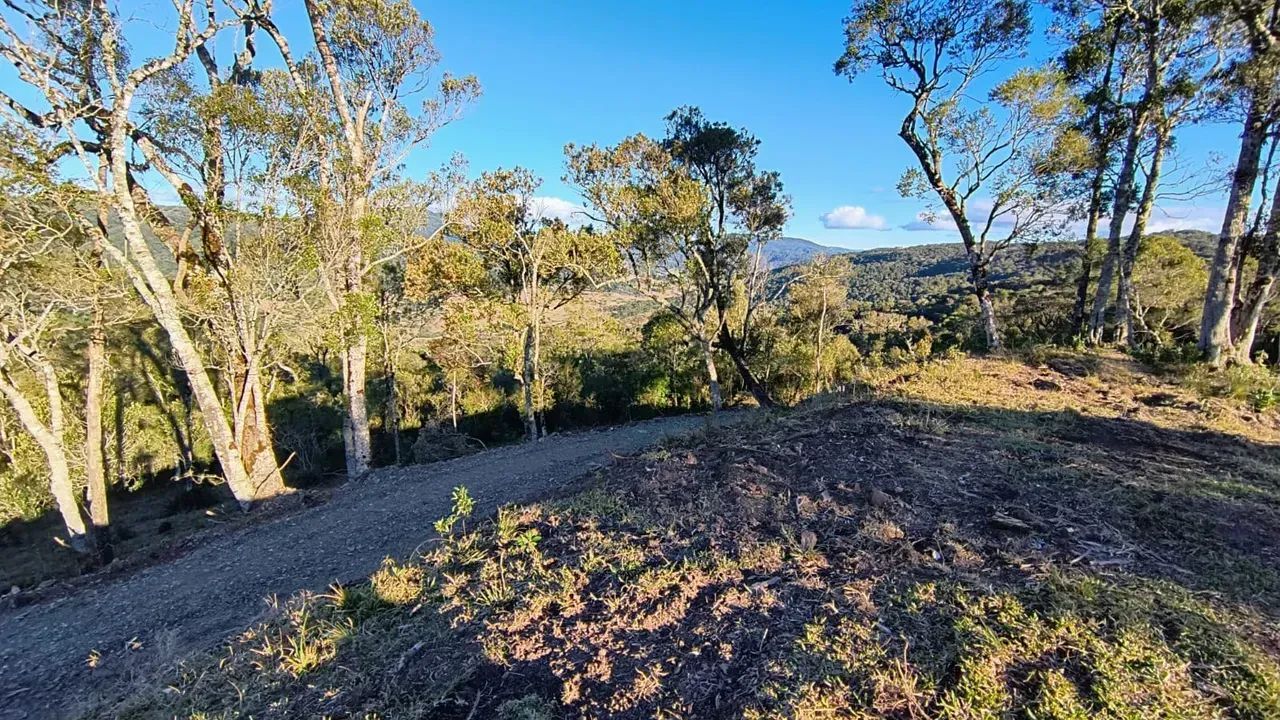 6 Hectares à Venda em Bom Retiro-SC - Foto 3