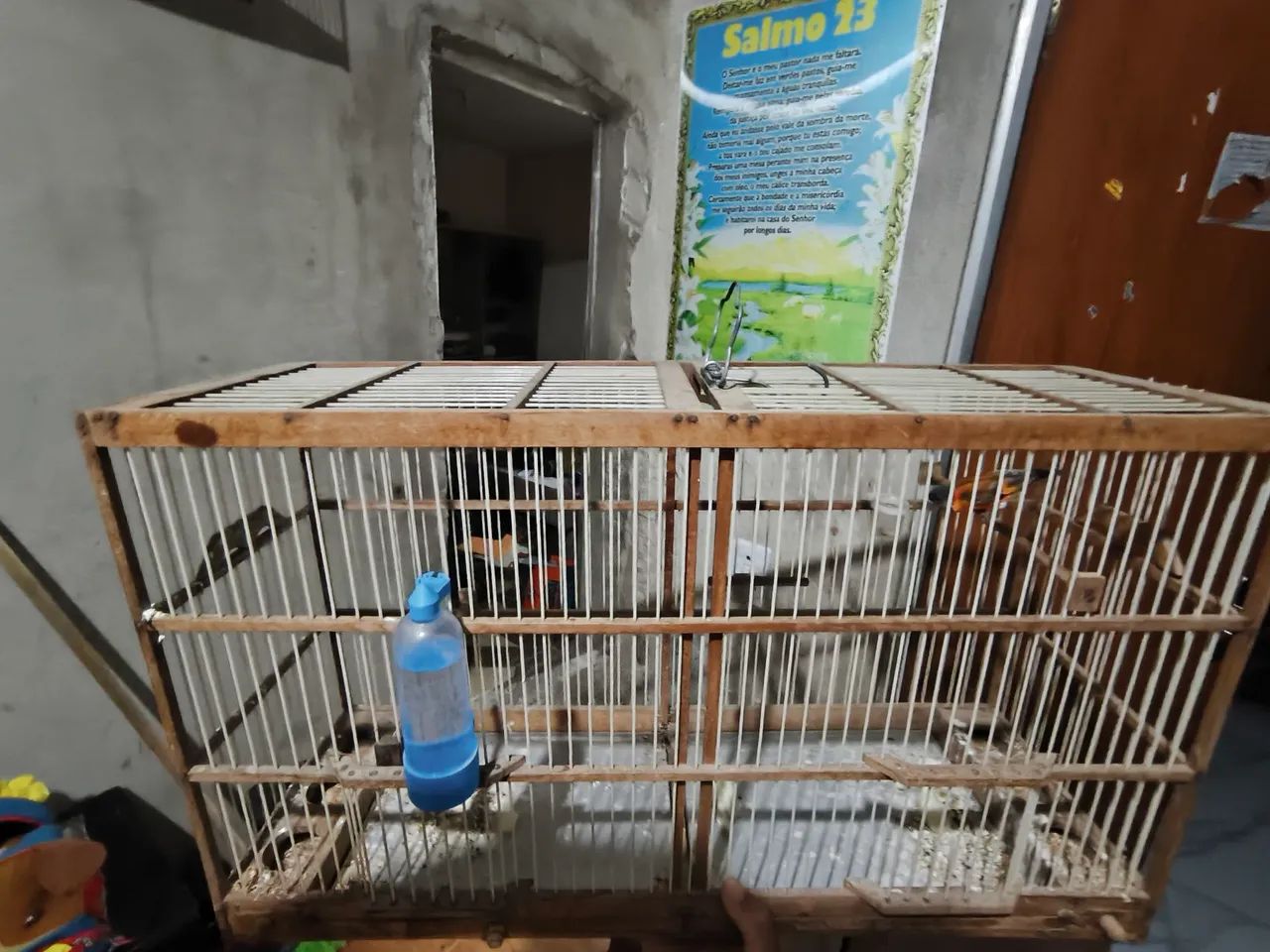 Voador de pássaro com coxo e Bebedor