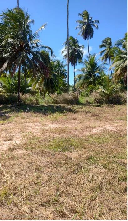 Dunas de Jequia lote plano  170m2 - Foto 2